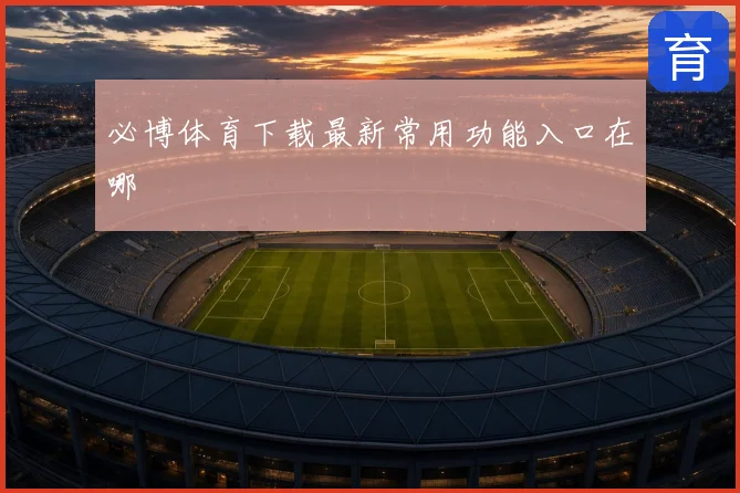 必博体育下载最新常用功能入口在哪